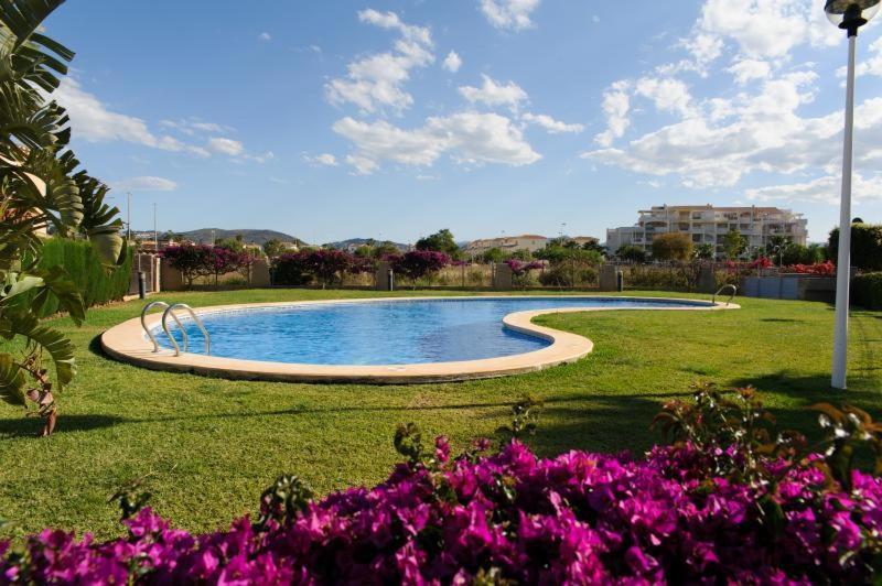Chalet Coral דניה מראה חיצוני תמונה
